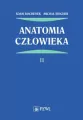 Anatomia człowieka. Tom 2 - tantis.pl