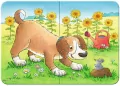 Puzzle 2/4/6/8 Cute Pets - tantis.pl