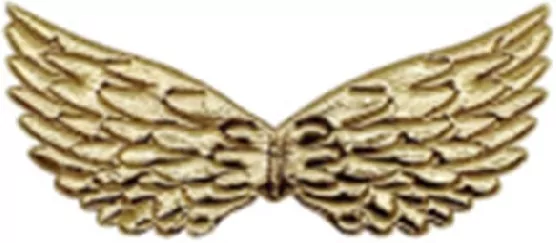 Skrzydła anioła - tantis.pl