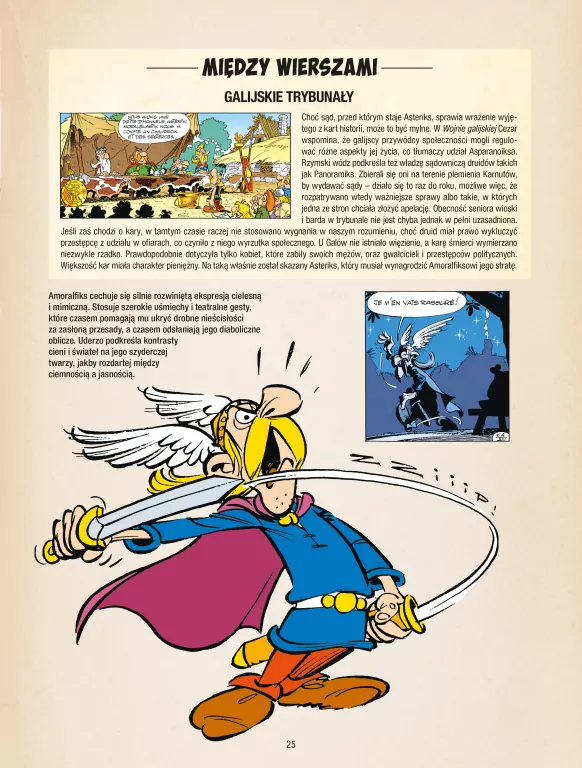 Asteriks i kociołek. Asteriks Tom 13 - tantis.pl
