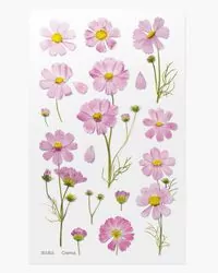 Naklejki ozdobne kwiaty - Aster - tantis.pl