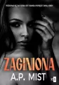 Zaginiona - tantis.pl