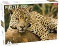 Puzzle Jaguar 500 - tantis.pl