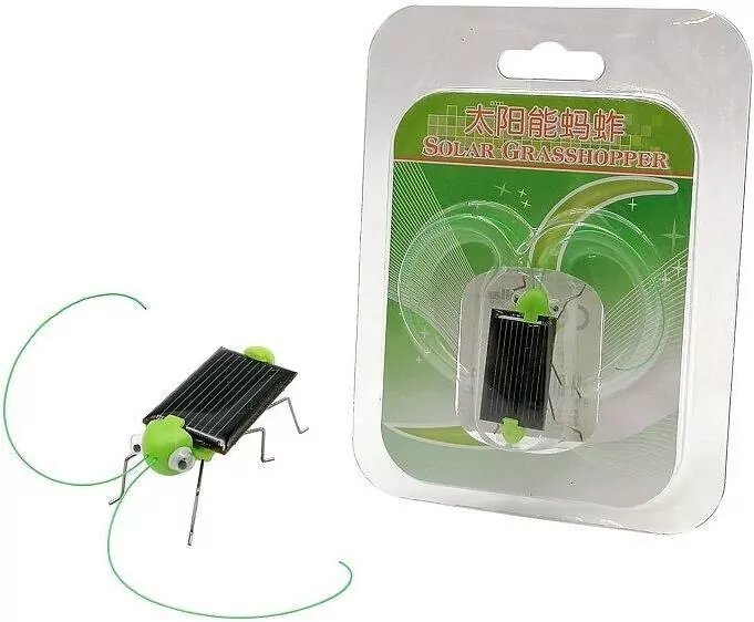 Konik polny solarny - tantis.pl
