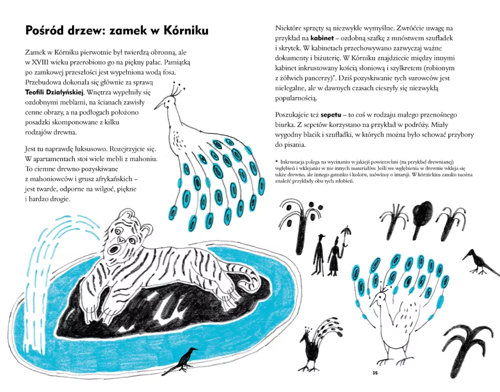 Dobra nasza! Polska. Przewodnik dla dzieci - tantis.pl