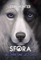 Bezkresne jezioro. Sfora. Tom 5 - tantis.pl