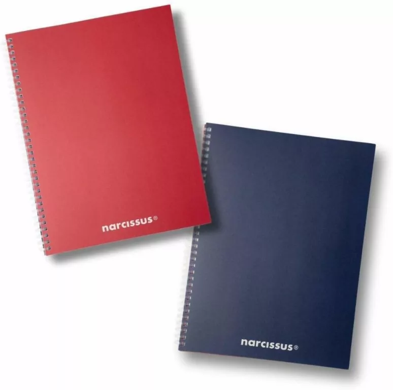 Kołonotatnik A5/80K kratka Swing Mono BG - tantis.pl