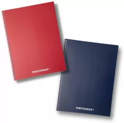 Kołonotatnik A5/80K kratka Swing Mono BG