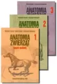 Anatomia zwierząt. Tom 1-3 - tantis.pl