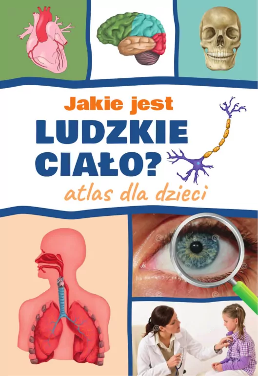 Jakie jest ludzkie ciało? Atlas dla dzieci - tantis.pl