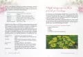 Aromaterapia dla kobiet - tantis.pl