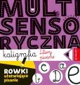 Multisensoryczna kaligrafia. Litery pisane - tantis.pl