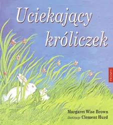 Uciekający króliczek.