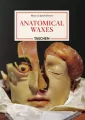 Anatomical Waxes wer. angielska - tantis.pl