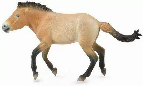 Collecta. Ogier przewalski XL - tantis.pl