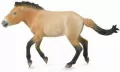 Collecta. Ogier przewalski XL - tantis.pl