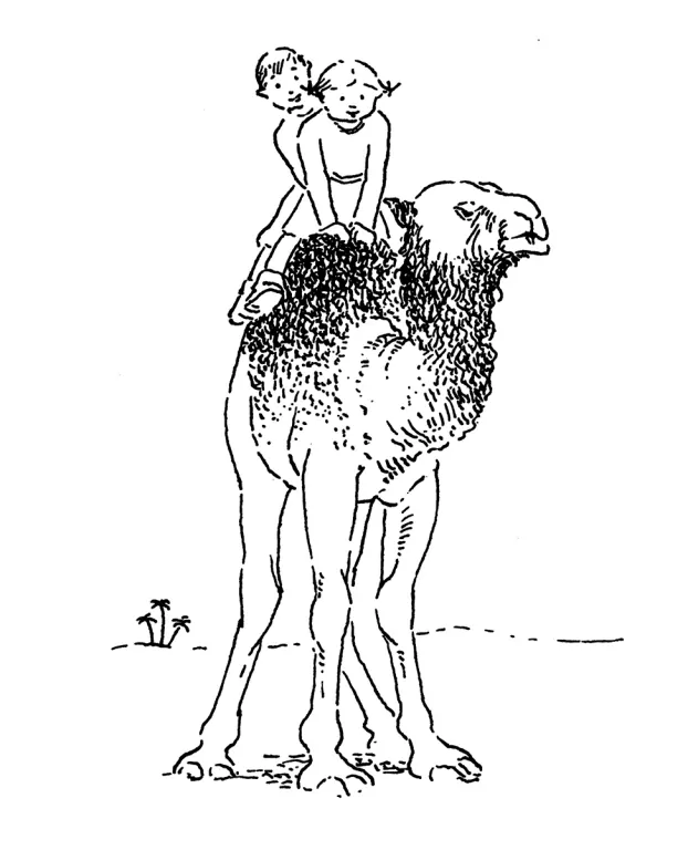 Ture Sventon na pustyni - tantis.pl