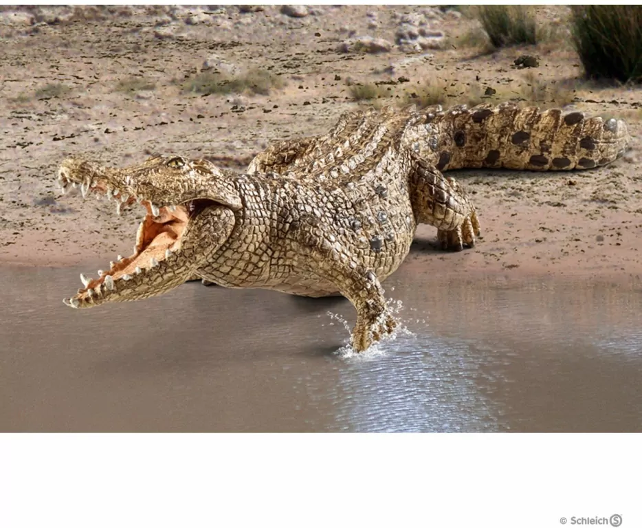 Krokodyl Wild Life 14736 - tantis.pl