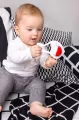 Grzechotka Rybka - tantis.pl