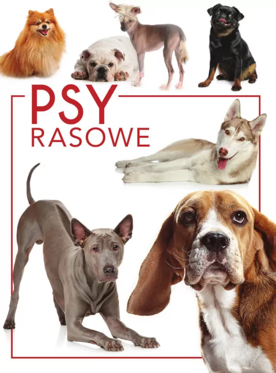 Psy rasowe - tantis.pl
