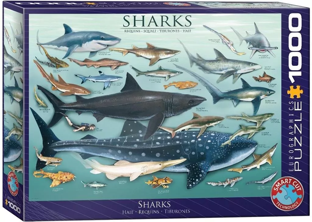 Puzzle 1000. Rekiny - tantis.pl
