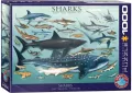Puzzle 1000. Rekiny - tantis.pl