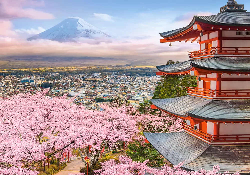 Puzzle 500 Spring in Japan CASTOR - tantis.pl