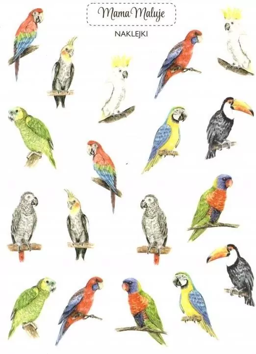 Naklejki Papugi - tantis.pl