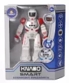 Robot Kosmiczny zwiadowca. Knabo - tantis.pl