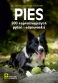 Pies 300 najważniejszych pytań i odpowiedzi wyd. 2026 - tantis.pl