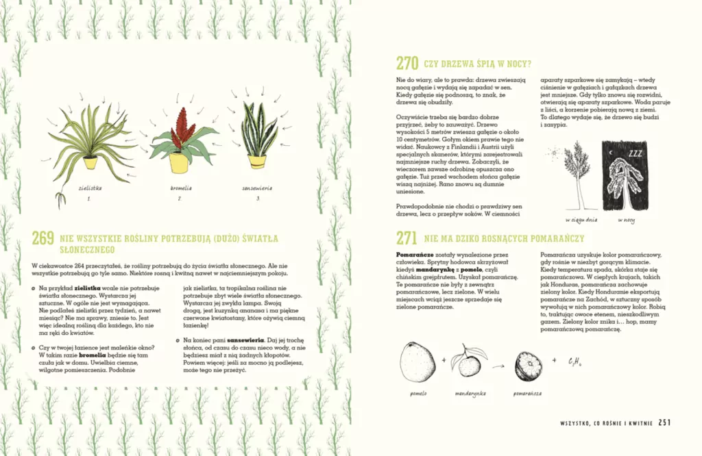 321 superciekawych faktów, które trzeba poznać - tantis.pl
