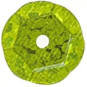 Cekiny hologramowe H 150 jasny zielony - tantis.pl