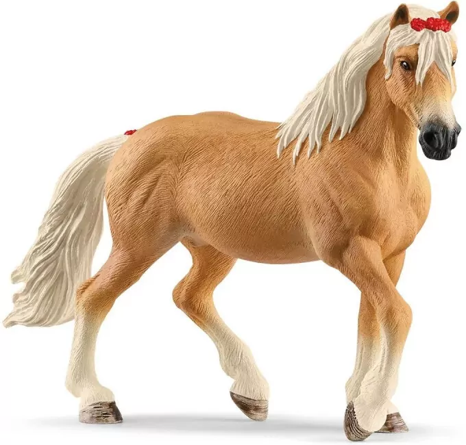 Klacz rasy Haflinger 13950 - tantis.pl