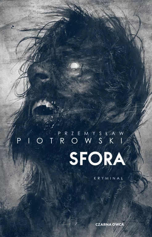 Sfora. Komisarz Brudny. Tom 2 - tantis.pl