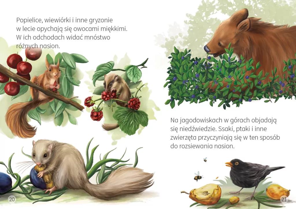 Przygody nasion. Młodzi przyrodnicy - tantis.pl