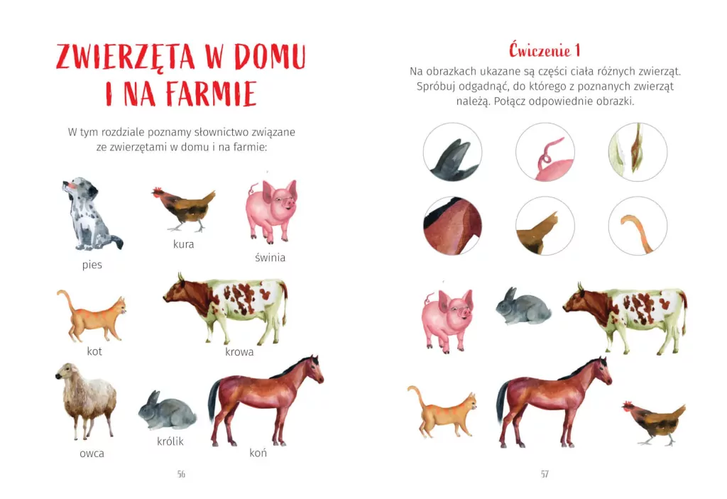 Ćwiczenia dla przedszkolaków z elementami metody Montessori - tantis.pl