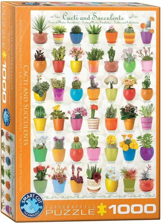 Puzzle 1000. Kaktusy i sukulenty - tantis.pl