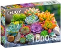 Puzzle 1000 Sukulenty - tantis.pl