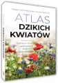 Atlas dzikich kwiatów - tantis.pl