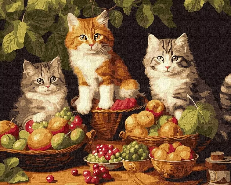 Malowanie po numerach. Koty i owoce 40x50cm - tantis.pl