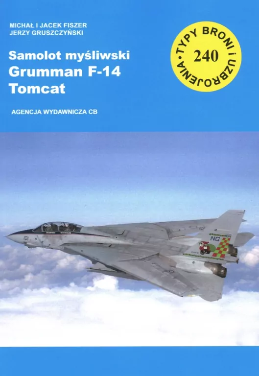 Samolot myśliwski Grumman F-14 Tomcat - tantis.pl