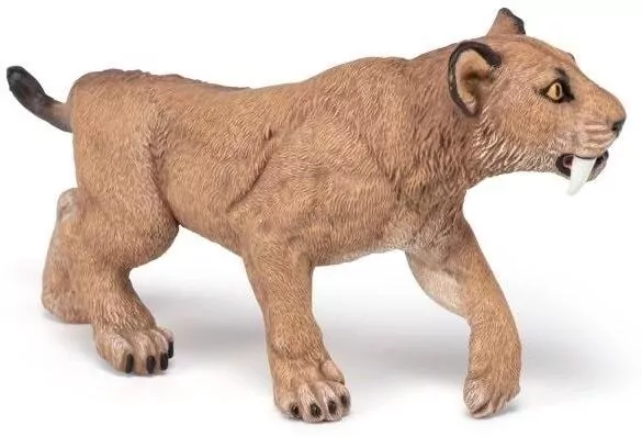 Smilodon młody - tantis.pl