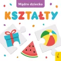 Kształty. Mądre dziecko - tantis.pl