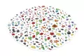 REBEL. Dobble Collector - tantis.pl