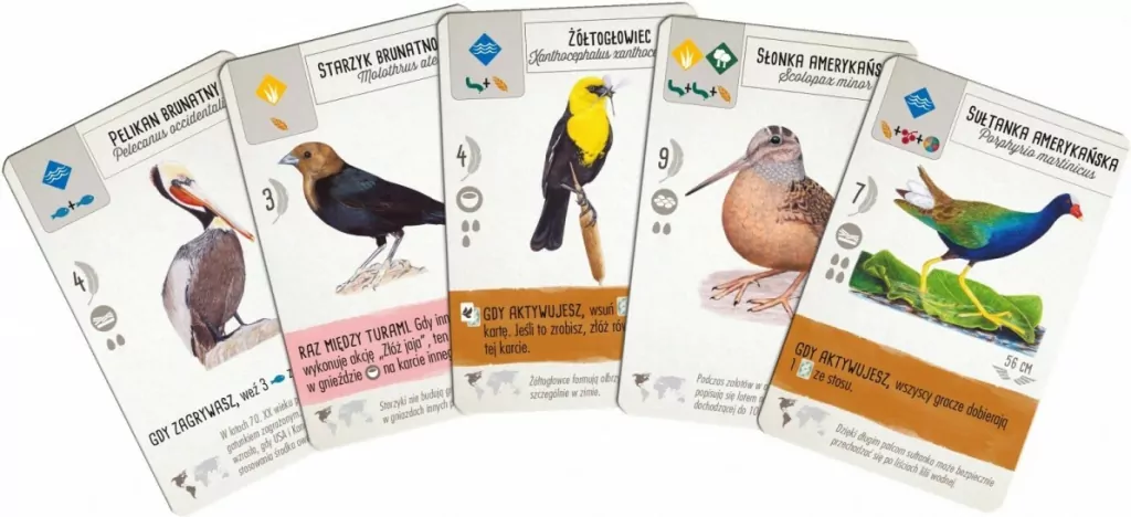 Na skrzydłach - tantis.pl