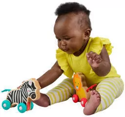 Fisher Price Zwierzątka drewniane do pchania - tantis.pl