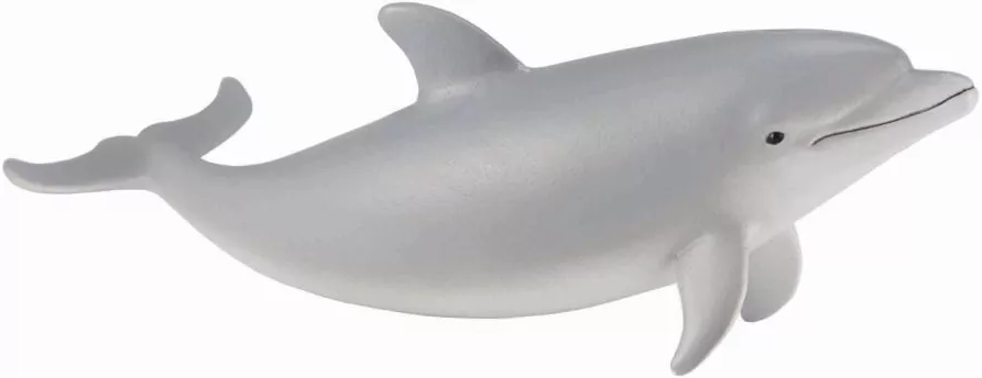 Delfin butlonosy młody - tantis.pl