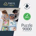 Puzzle 9000. Ancient Celestial Maps - tantis.pl
