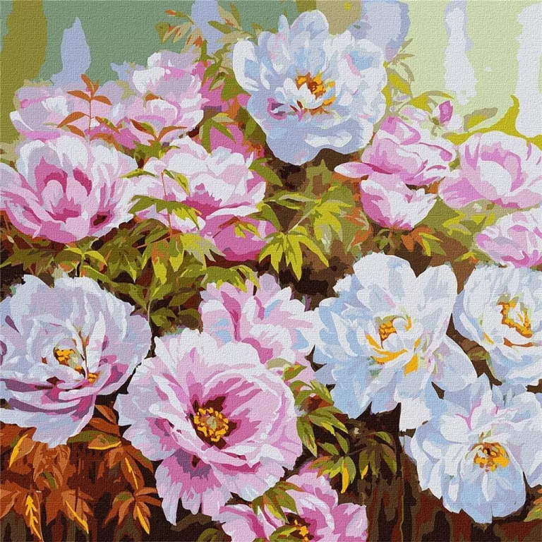 Malowanie po numerach: Różnorodność piwonii 50 x 50 - tantis.pl