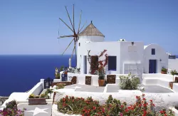 Terminarz 2021 Ścienny MiP